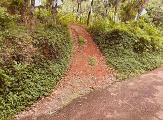 Agricultural Land for Sale in Kasargod, Kasargod town, Sullia route, Kottamkuzhy veda, Mulleria Near Kaveri auditorium