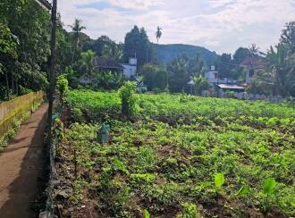 Residential Land for Sale in Pathanamthitta, Konni, Vakayar, Near St. Mary's Malankara Catholic Church, Vakayar