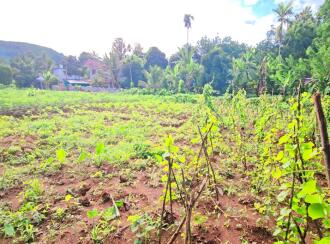 Residential Land for Sale in Pathanamthitta, Konni, Vakayar, Near St. Mary's Malankara Catholic Church, Vakayar