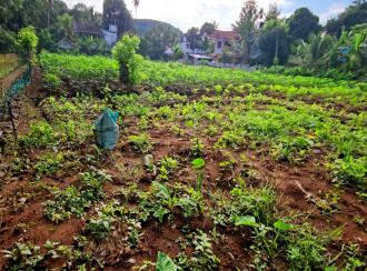 Residential Land for Sale in Pathanamthitta, Konni, Vakayar, Near St. Mary's Malankara Catholic Church, Vakayar