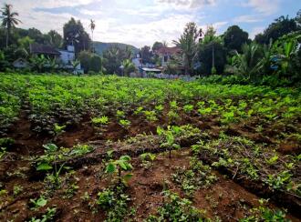 Residential Land for Sale in Pathanamthitta, Konni, Vakayar, Near St. Mary's Malankara Catholic Church, Vakayar