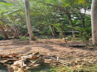 Residential Land for Sale in Trivandrum, Chirayinkeezhu, Azhoor, അഴൂർ