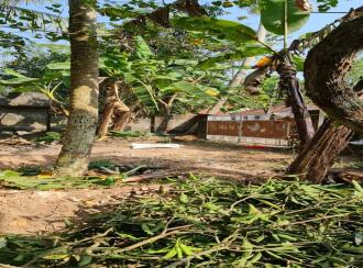 Residential Land for Sale in Trivandrum, Chirayinkeezhu, Azhoor, അഴൂർ