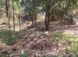 Residential Land for SaleKannur, Sreekandapuram, Sreekandapuram