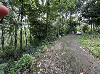 Agricultural Land for SalePathanamthitta, Ranni, Athikkayam