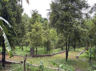 Residential Land for Sale in Kollam, Kollam, Kottamkara, Near Mekkone, Kollam