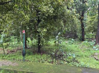Residential Land for Sale in Kollam, Kollam, Kottamkara, Near Mekkone, Kollam