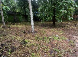 Residential Land for SaleKollam, Kulathupuzha, Kulathupuzha