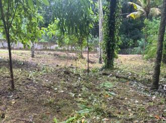 Residential Land for Sale in Kollam, Kulathupuzha, Kulathupuzha, panicker lane