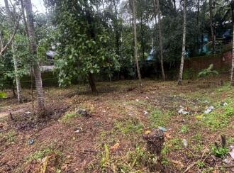 Residential Land for Sale in Kollam, Kulathupuzha, Kulathupuzha, panicker lane