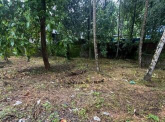 Residential Land for Sale in Kollam, Kulathupuzha, Kulathupuzha, panicker lane