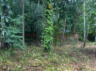 Residential Land for Sale in Kollam, Kulathupuzha, Kulathupuzha, panicker lane