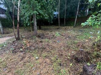 Residential Land for Sale in Kollam, Kulathupuzha, Kulathupuzha, panicker lane