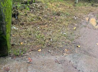 Residential Land for Sale in Kollam, Kulathupuzha, Kulathupuzha, panicker lane