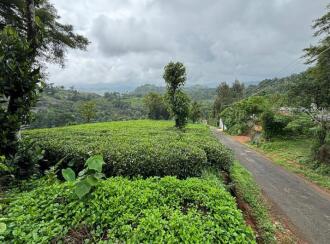 Agricultural Land for Sale in Idukki, Kattappana, Calvary mount, Grace and Joy Home stay