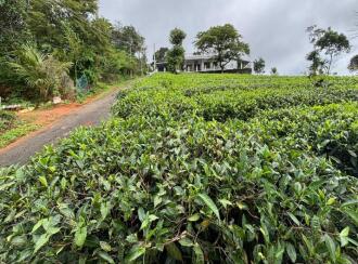 Agricultural Land for Sale in Idukki, Kattappana, Calvary mount, Grace and Joy Home stay