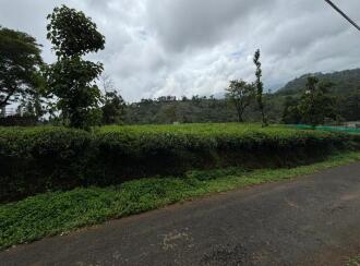 Agricultural Land for Sale in Idukki, Kattappana, Calvary mount, Grace and Joy Home stay