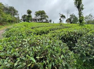Agricultural Land for Sale in Idukki, Kattappana, Calvary mount, Grace and Joy Home stay