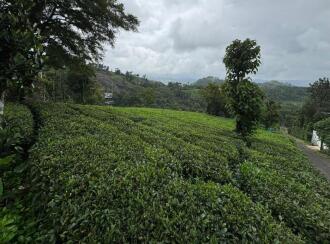 Agricultural Land for Sale in Idukki, Kattappana, Calvary mount, Grace and Joy Home stay