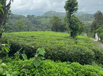 Agricultural Land for Sale in Idukki, Kattappana, Calvary mount, Grace and Joy Home stay