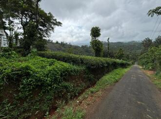 Agricultural Land for Sale in Idukki, Kattappana, Calvary mount, Grace and Joy Home stay