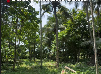 Residential Land for Sale in Thrissur, Thrissur town, Thrissur, Peruvellur