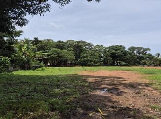 Residential Land for Sale in Kottayam, Changanassery, Perunna, Near alappuzha changanacherry road