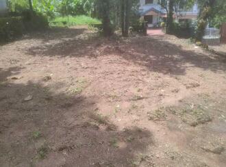Residential Land for Sale in Kozhikode, Vatakara, Vadakara, Sanskrit school