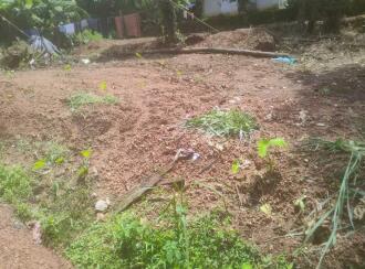 Residential Land for Sale in Kozhikode, Vatakara, Vadakara, Sanskrit school
