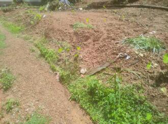Residential Land for Sale in Kozhikode, Vatakara, Vadakara, Sanskrit school
