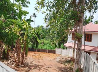 വാസയോഗ്യമായ ഭൂമി വില്പനയ്ക്ക് എറണാകുളം, Chottanikkara, Eruveli