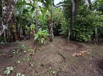 Residential House Villa for Sale in Pathanamthitta, Kozhencherry, Kozhencherry east, SNDP Road