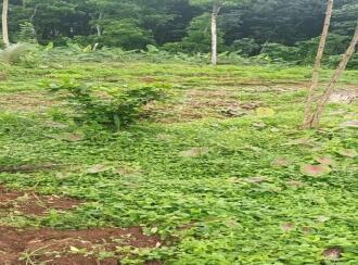 Residential Land for Sale in Pathanamthitta, Mallappally, Anicad, Kulathunkal kavala