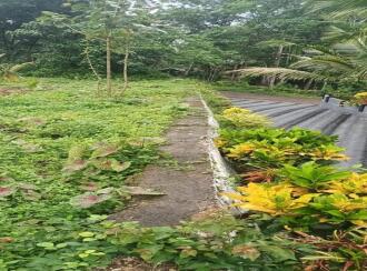 Residential Land for Sale in Pathanamthitta, Mallappally, Anicad, Kulathunkal kavala