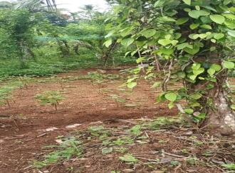 Residential Land for Sale in Pathanamthitta, Mallappally, Anicad, Kulathunkal kavala