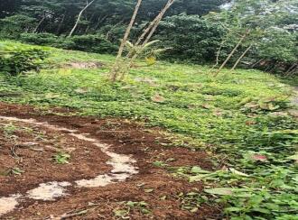 Residential Land for Sale in Pathanamthitta, Mallappally, Anicad, Kulathunkal kavala