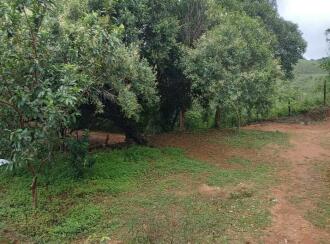 Commercial Land for Sale in Idukki, Vagamon, Kolahalamedu