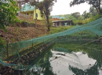 Commercial Land for Sale in Idukki, Vagamon, Kolahalamedu