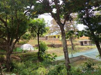 Commercial Land for Sale in Idukki, Vagamon, Kolahalamedu