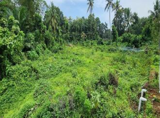 Residential Land for Sale in Kottayam, Changanassery, Thottackad