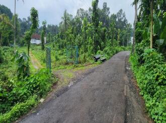 Residential Land for Sale in Kottayam, Changanassery, Thottackad
