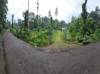 Residential Land for Sale in Kottayam, Changanassery, Thottackad
