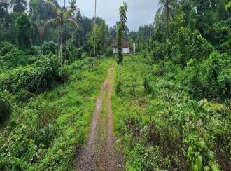 Residential Land for Sale in Kottayam, Changanassery, Thottackad