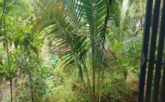 Residential House Villa for Sale in Kottayam, Ayarkunnam, Paduva, near medicity