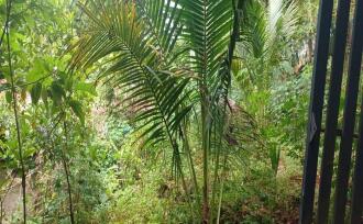Residential House Villa for Sale in Kottayam, Ayarkunnam, Paduva, near medicity