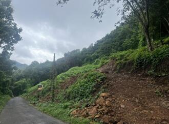 Agricultural Land for Sale in Kottayam, Erumeli, Mukkada, Alapra