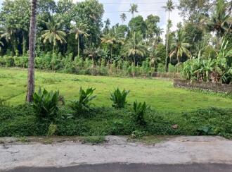Residential Land for Sale in Idukki, Thodupuzha, Muthalakodam, muthalakodam- madathikandam road