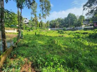 Residential Land for Sale in Kottayam, Ettumanoor, Cheruvandoor, Peroor