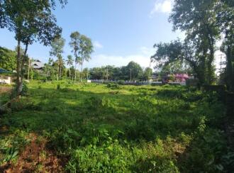 Residential Land for Sale in Kottayam, Ettumanoor, Cheruvandoor, Peroor