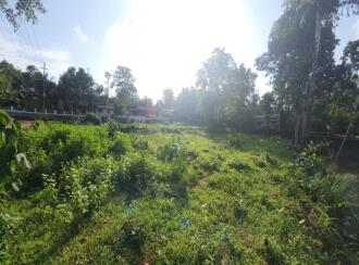 Residential Land for Sale in Kottayam, Ettumanoor, Cheruvandoor, Peroor